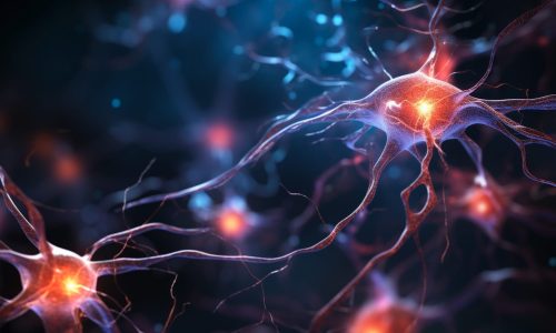 La RIN ringrazia la SIN la collaborazione nel promuovere le neuroscienze e la lotta all’Alzheimer